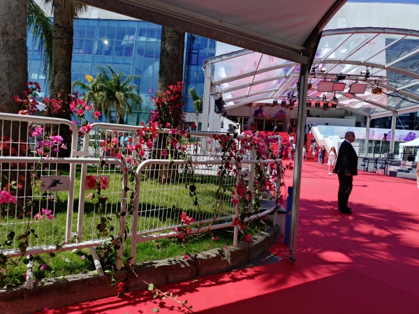 Cannes mai 2025