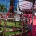 Cannes mai 2025