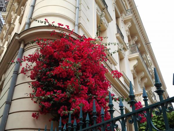 Un coin de façade à Nice