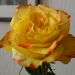 Anniversaire