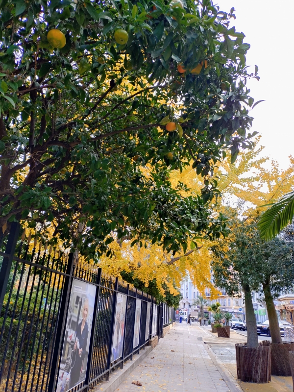 Novembre à Nice