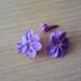 Petites fleurs de lilas à 5 pétales