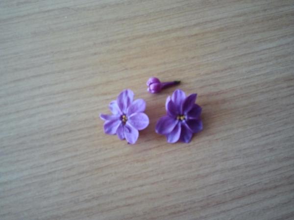 Petites fleurs de lilas à 5 pétales