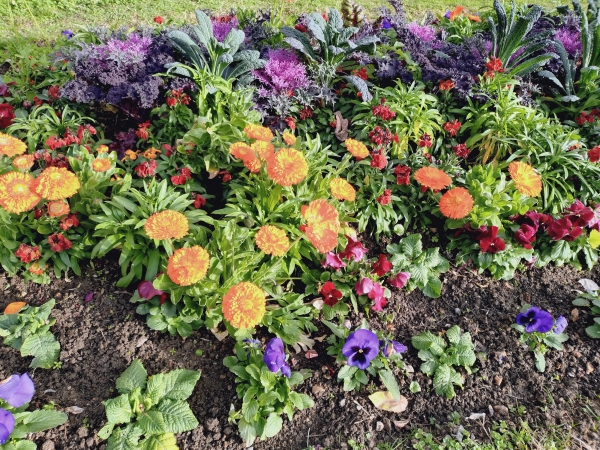 Le Jardin du Monastère, Cimiez